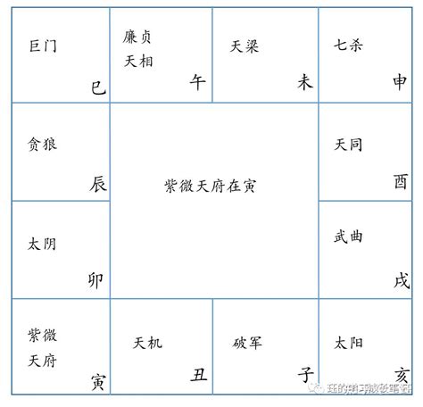 紫微麥|紫微斗数在线排盘